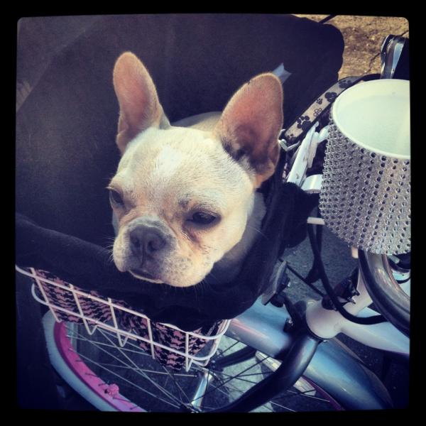 AngieGood's tweet photo. http://t.co/Abu5Tt22