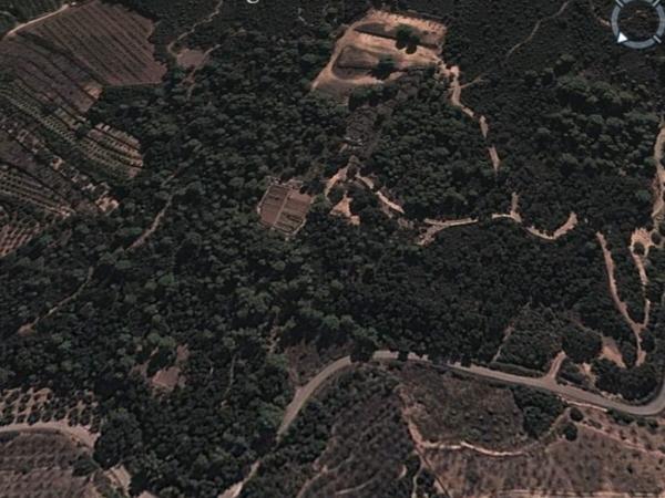 A vista de pájaro!!!
Así se ve desde el cielo, la huerta, las zonas de Taichi y los caminos que recorren el bosque...