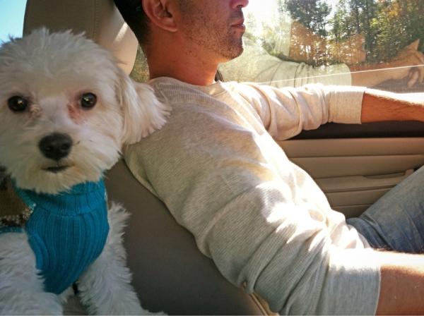 DaPhotog's tweet image. Juno