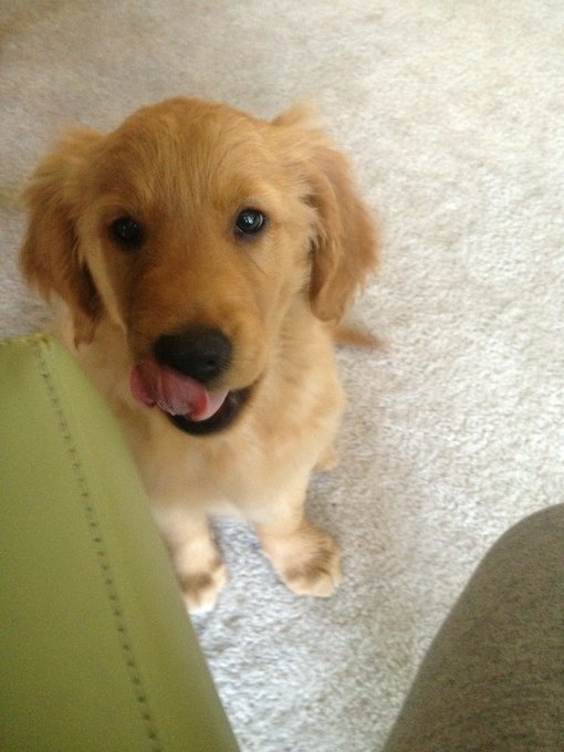 Awwwww http://t.co/UU0VRubJ