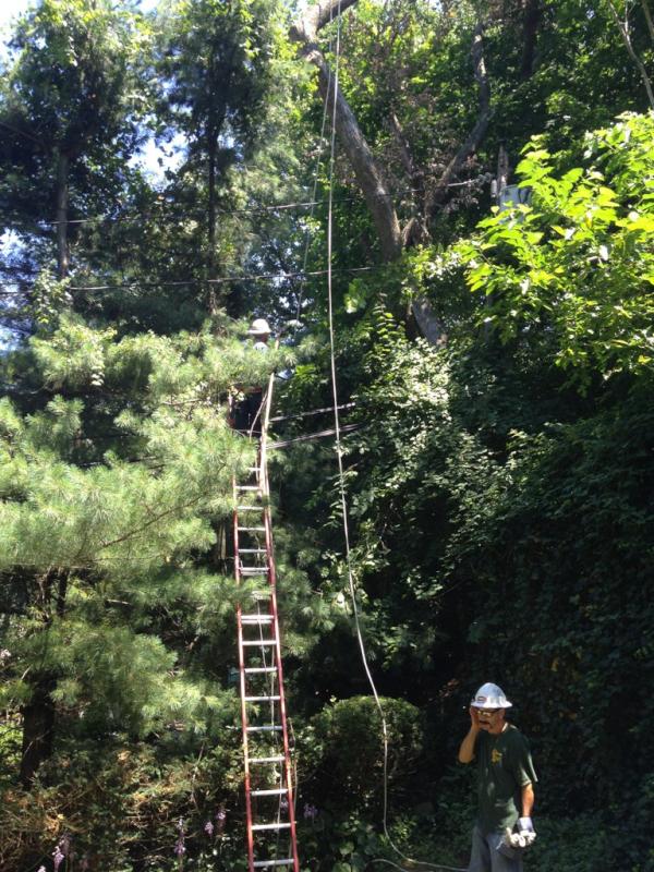 HarderServices's tweet image. No problemo! @nationalgridus @LIPAnews #sweating #stormdamage #systemreliability