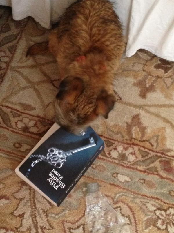 Pinkinkstudio's tweet image. Please read some Fifty Shades to me!!