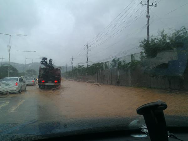 railsim's tweet image. 가락대로 지사공단입구 도로 침수로 김해쪽으로 불통