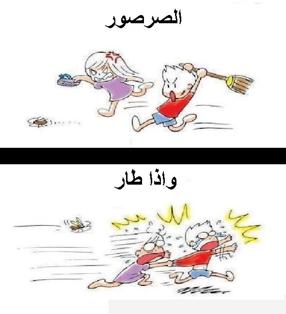 alazemi33's tweet photo. إذا صح رتويت ؟؟ واكيد صح ؟؟ 100% صح ؟؟ http://t.co/XLWPMDYG