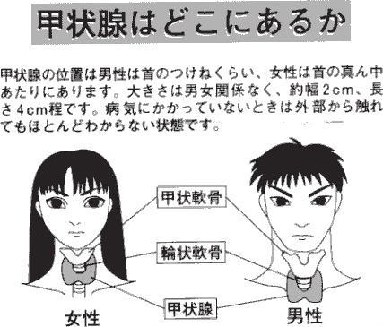 Cmk2wl Pa Twitter 甲状腺のチェックは自分でもできるそうです 首の下の方の両側を触って 軽く押してみて 腫れやしこりがないかを確認 子供も大人も同じだそうです ないからと安心しないでください Http T Co Ddwbkvhy Twitter