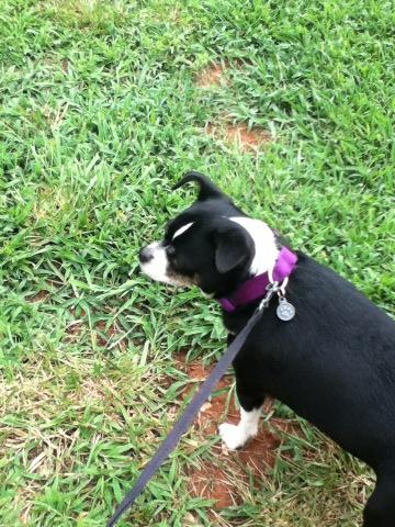 mayaa2005's tweet image. 💘 we love him