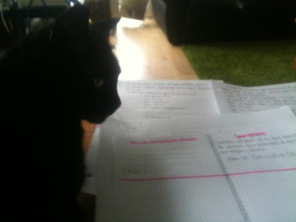 Emilie Berger (@Emilieberger1) / Twitter