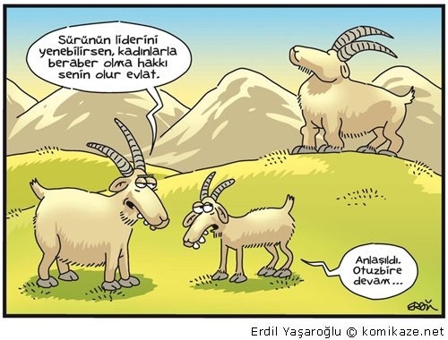 engintv's tweet photo. Sürünün lideri olmak http://t.co/JdOqc2fq