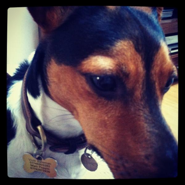 vix0112's tweet photo. So woeful! http://t.co/4kMNxSA7