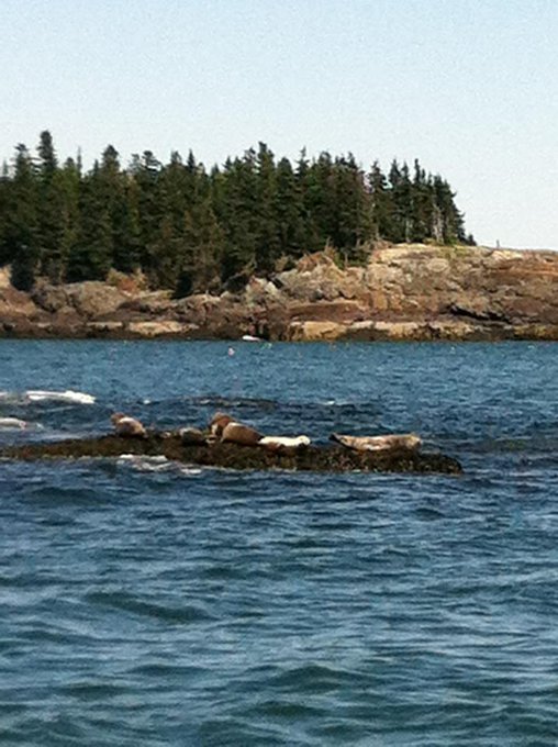 Watch Brett Moffitt's leaked NSFW photo on TwXstars