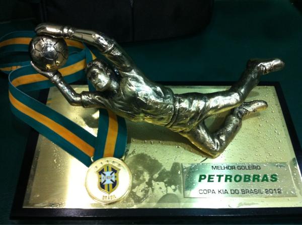 BrunoCCardoso's tweet photo. Torcida palmeirense, isso aqui é pra vcs....PARABÉNS...é Campeão!!!!!! http://t.co/tW5XKZWU