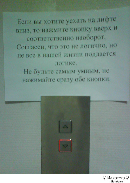 iliwlev tweet picture