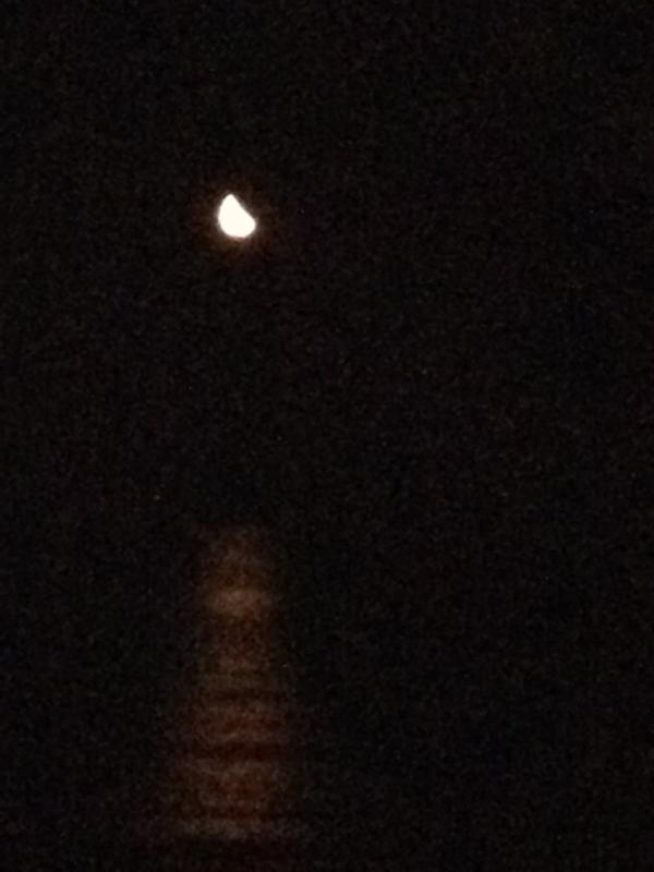 MichaelLemke's tweet photo. Love Daytona nights! http://t.co/YVs5MrhX