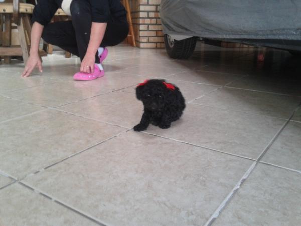 Camila Werner (@wernercamila) on Twitter photo 