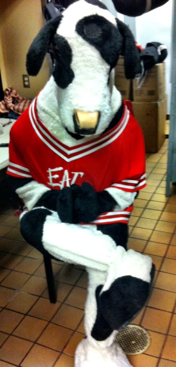 Chickfila_HH's tweet photo. The Cow is ready, are you?! Less than 24 hours until #CowAppreciationDay!! http://t.co/o8PzlbUr