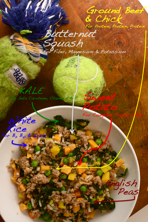 CeramicCanvas's tweet photo. GOING 2 DA DOGS. 1yr ago I got my rescue pup, Hugo. Wkends I cook his food 4 da week. Heres a breakdwn of typical dish http://t.co/06SbXDIx