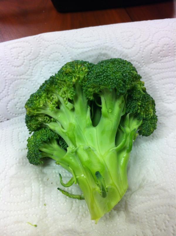 Navbelak's tweet photo. This will most assuredly lead to broccoli burps and other vile things. http://t.co/Ni2nsT4O