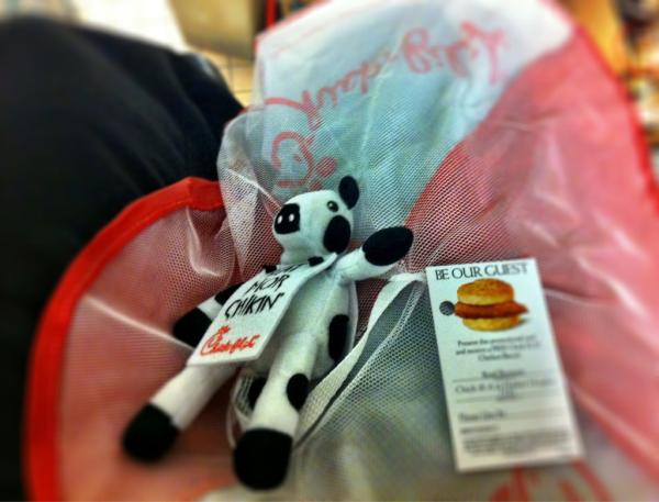 Chickfila_HH's tweet photo. Hanging out with some parachute cows we'll use to giveaway breakfast for a year during Cow Appreciation Day tomorrow!! http://t.co/TqKVo7DL