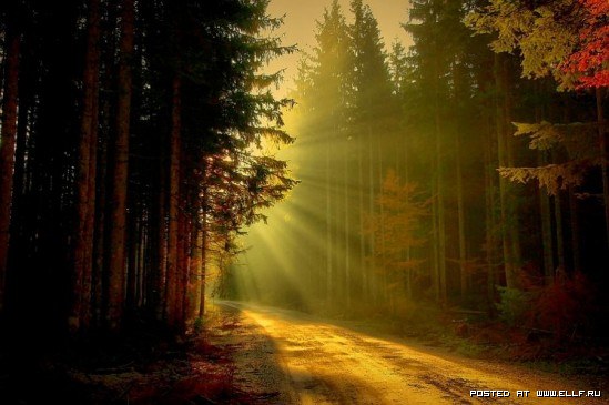 PresidentRussiy's tweet photo. Всем спокойной ночи http://t.co/Q90yOlbQ