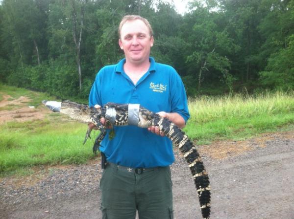 micahwef's tweet photo. Caught  and moved to the savannah river from camp today http://t.co/ZDbV9Z5p