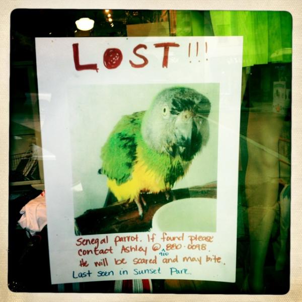 GordonStillman tweet picture