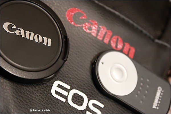 Canon_D600's tweet photo. http://t.co/DkB9i7tK