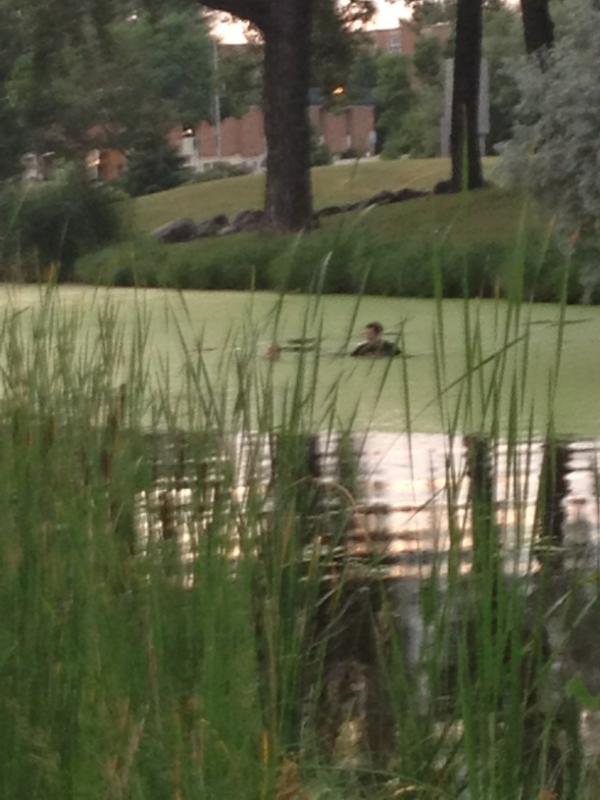 kholm's tweet image. Swimming in the English Coulee on campus #ialto