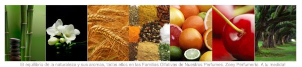 zoeyparfums's tweet photo. Visita Zoey Parfums, y dale placer a tus sentidos. http://t.co/8PJObUSN