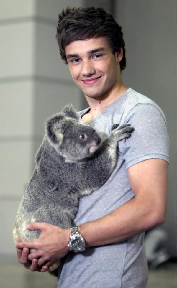 OnedirectionF_C's tweet image. 