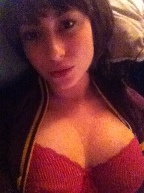 Sweater tits http://t.co/7pFHhplB<a href="/tag/gato"class="tags"><span>#gato</span></a>