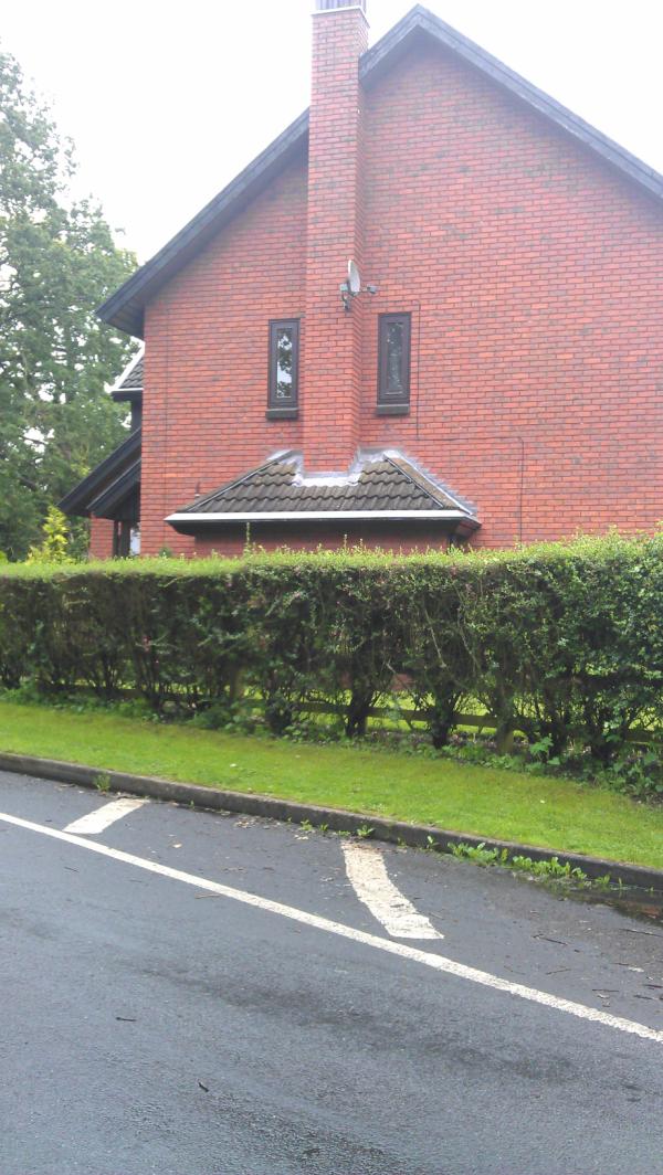 Ryan_Stonee's tweet photo. Behind every house, there is a face with a moustache http://t.co/xfRk4PpU