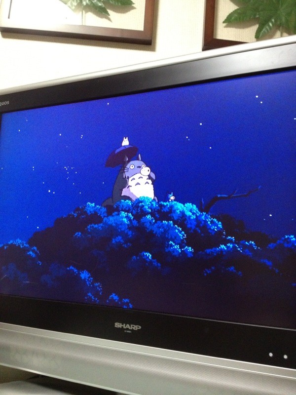 SammY808's tweet photo. @coconazum かわいいー！サマーウォーズかぁ、あまり興味そそられないけど楽しいのかな？ http://t.co/VZ4pSeHH