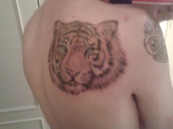 NaxoNoNameRoom's tweet photo. Tigre :-) http://t.co/24XMPHUm