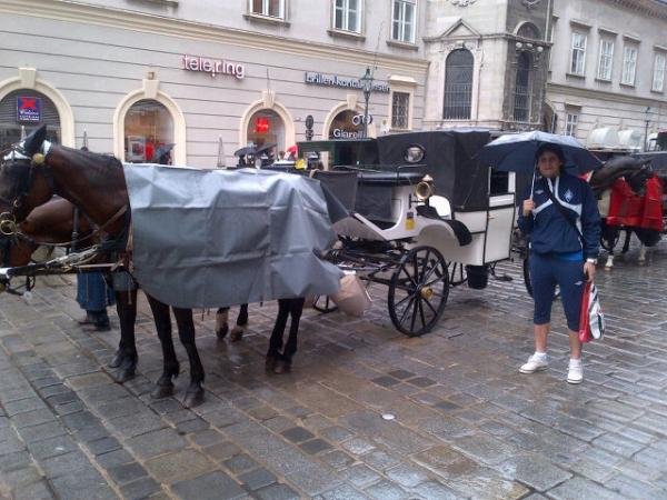 LuisCaballero09's tweet photo. Recorriendo un poco Vienna! Aca con la carroza del #Olimpia! http://t.co/ictFJnM5
