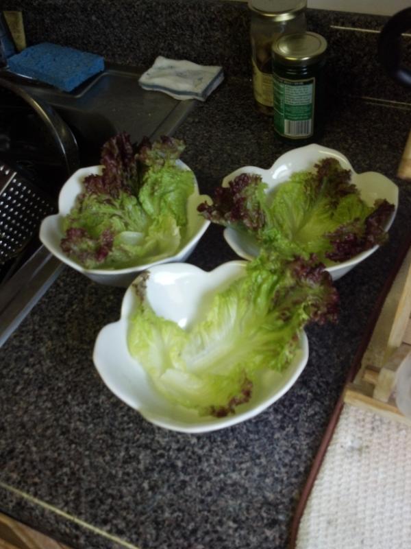 CreeperKline's tweet photo. Appetizers are still in the works with an hour gone. #choppedhawaiiansociety http://t.co/HYJagziq