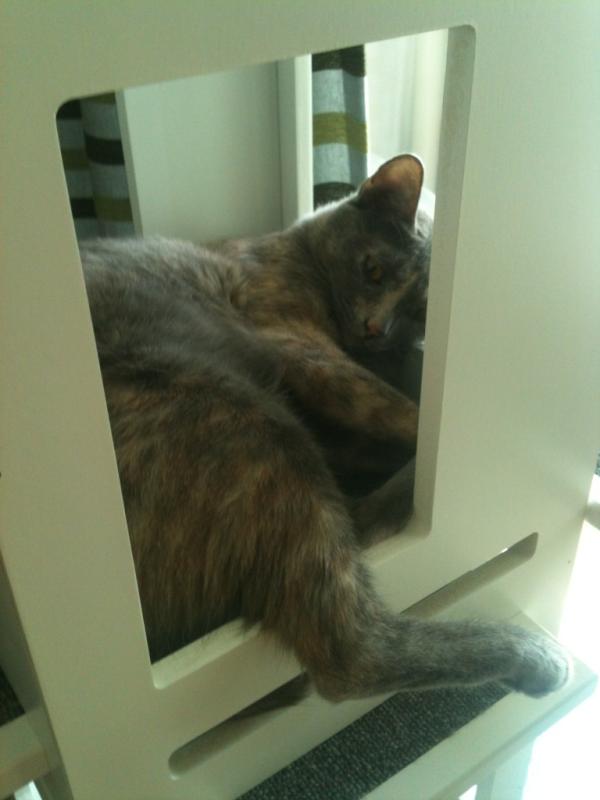 sooomeee2012's tweet photo. 쫌 쉬겠다는데, 머? http://t.co/ZZACtw4H
