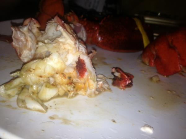 AnthonySamanth4's tweet photo. Uck look at its eggs and it was full of shit Anthony thought it was gonna be good live lobster he trough it http://t.co/wCsdVgTn