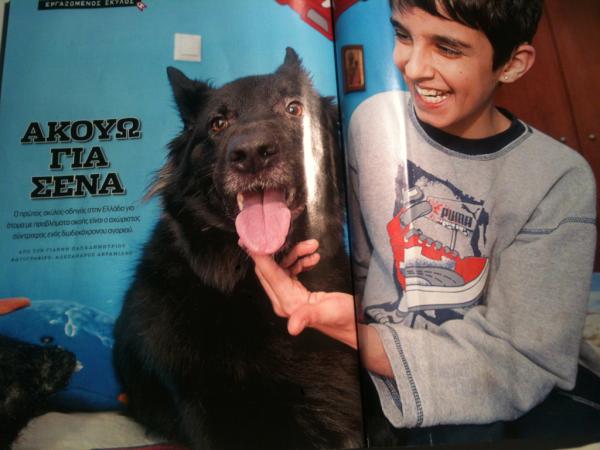 LaraGuideDogs tweet picture