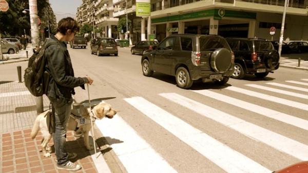 LaraGuideDogs tweet picture