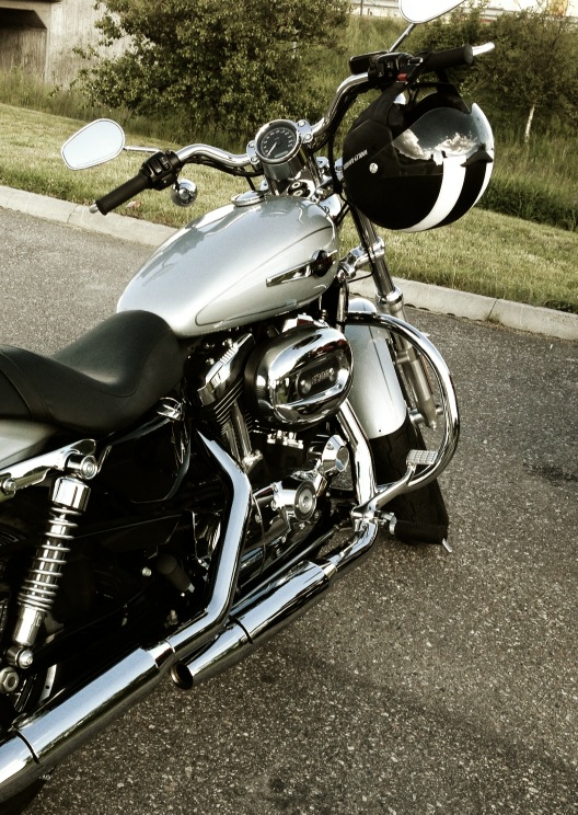 AniruddhoB's tweet photo. the steed. http://t.co/Dx95nZSA