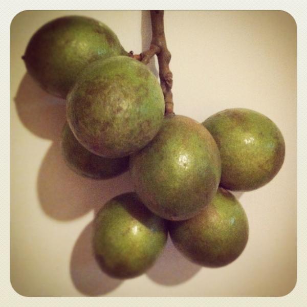 DjayAdrix's tweet image. Finally got hold of these bad boys. I know someone that would love to have these right now.