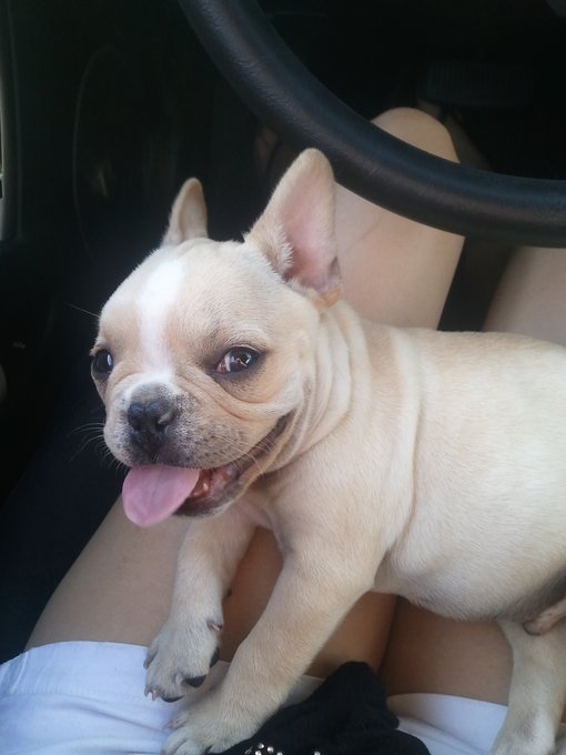 Gosh. Havent been on here in forever... Well, im back bitches!! :) http://t.co/toQEBOjA<a href="/tag/friskyfriday"class="tags"><span>#friskyfriday</span></a>