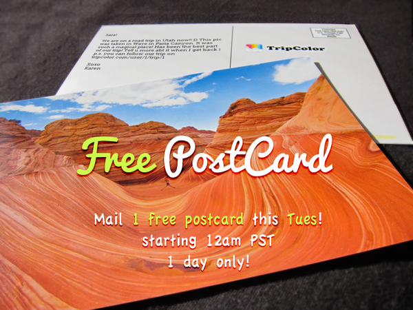 TripColor tweet media