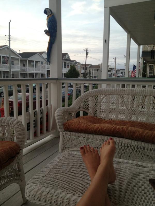 meg_ryan66's tweet image. Sunset from porch #sobeautiful #forgettingeverything #relaxing #wish I #lived here.