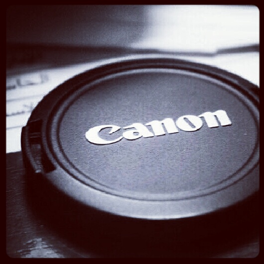 moefoto tweet picture