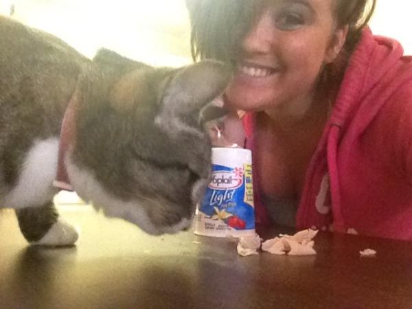 Nansaucee's tweet image. Families who eat together stay together. #badmanors #dontcare #catlover