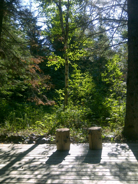 Treece41's tweet image. Having my morning coffee #greatview #wishyouwerehere