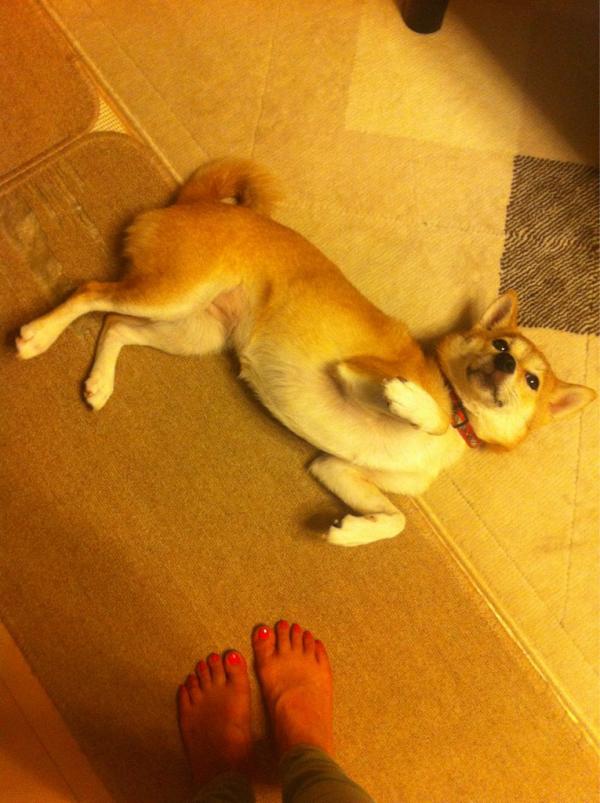 mitsumi125's tweet photo. 可愛すぎる件。 http://t.co/dprMq4XG