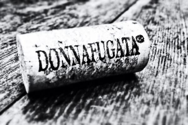 morispuccio's tweet photo. Immagine creata con #Snapseed http://t.co/cpq15Nju