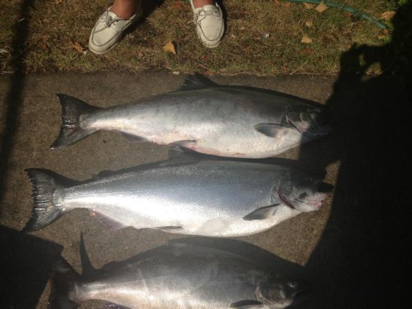 Fish4al's tweet image. 